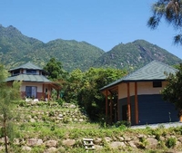 屋久島のホテル 旅館 宿泊予約 楽天トラベル